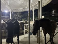 -金庭庄园酒店-停车场