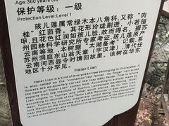 -东山雕花楼