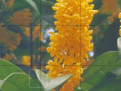 -杭州植物园