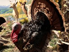 -陕西自然博物馆