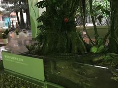 -中国湿地博物馆