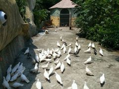 -牛鱼嘴原始生态风景区