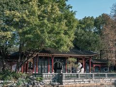 -顺峰山公园