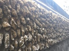 -囧吉香生蚝牛排馆(湖北路店)