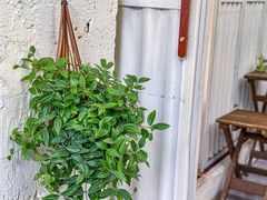 -绿小院(荔湾店)