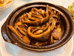 软兜长鱼-洪泽老鱼馆(清浦店)