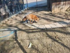 -无锡动物园·太湖欢乐园