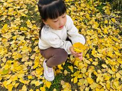 -白鹭湾湿地公园