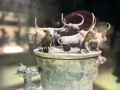 -上海博物馆(人民广场馆)