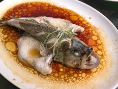 葱油蒸鲈鱼-古南都·老广东酒楼(龙江店)