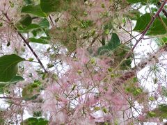 -永定河休闲森林公园