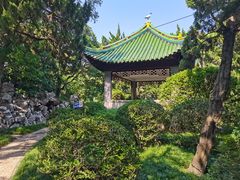 -叶家花园