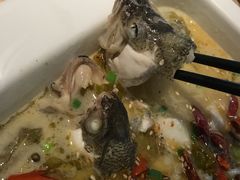 -江湖情酸菜鱼(万菱汇店)
