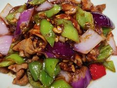 -邵年鸽(杨庄店)
