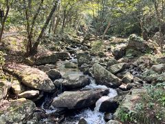 -燕子河大峡谷天坑仙境