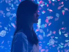 -江和美海洋公园