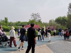 -太阳宫公园