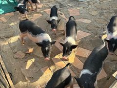 -HERRE·FARM 赫尔露营农场·团建聚会包场