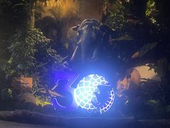 -夜间野生动物园