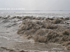 -观潮胜地公园