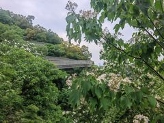 -福道