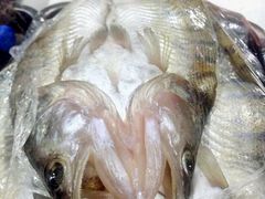 -新疆风味冷水鱼庄(友谊峰路店)