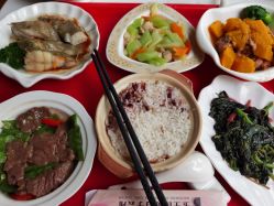 -宝生月子中心(独栋园林·福田店)