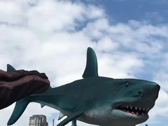 -海合安武汉极地海洋公园