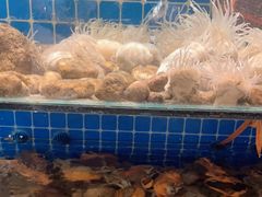 水产区-健眺小海鲜(临海后山店)