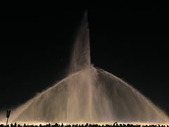-九龙湖公园