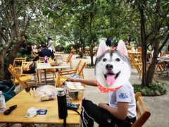 -樱桃山旅游景区