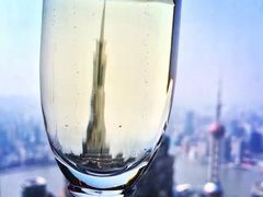 -上海柏悦酒店