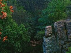 -桃花岭景区