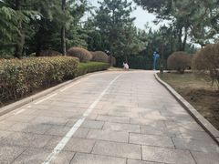 -燕儿岛山公园
