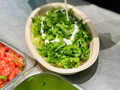 -油梨树AVOCADO TREE(顺义新国展店)