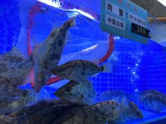 -千滋百味·醉江澜花园餐厅(街道口店)