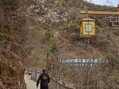 -遂昌金矿国家矿山公园