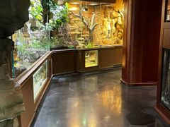 -帕帕拉兹宠物(亚洲旗舰店)