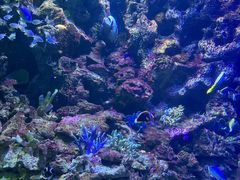 -大连老虎滩海洋公园