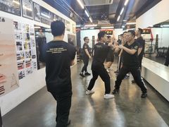 -温鉴良实用咏春拳