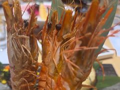 -清水日本料理铁板烧(学府路店)