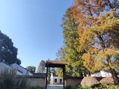 -同里国家湿地公园