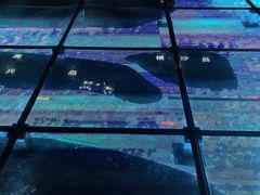 -上海长江河口科技馆