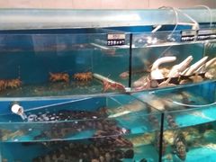 -百纳·锦绣江南 (百纳瑞汀酒店)