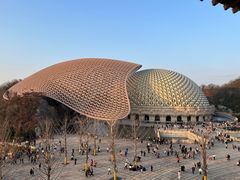 -牛首山文化旅游区