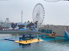 -秦皇岛乐岛海洋王国