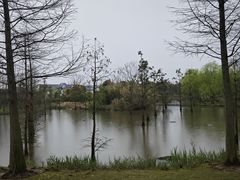 -上海长兴岛郊野公园