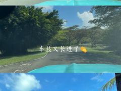 -丽姐租车