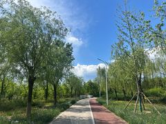 -绿堤公园