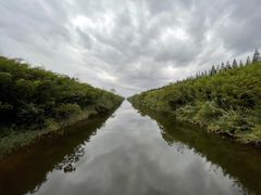 -黄海国家森林公园